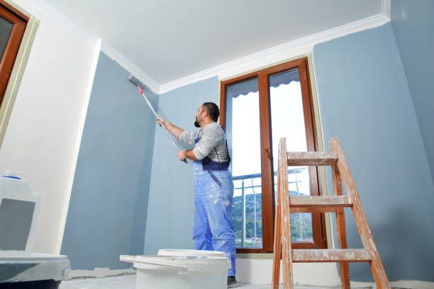 Best Mold Prevention Services  in French Island, WI