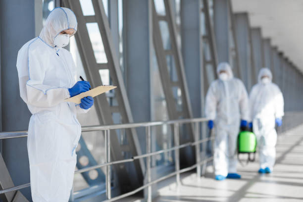 Best Mold Odor Removal Services  in French Island, WI