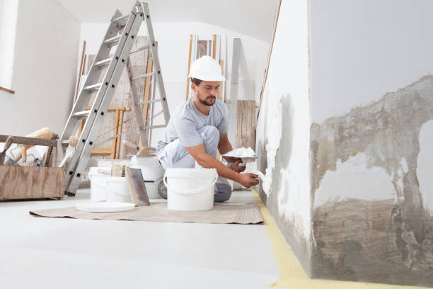 Mold Remediation for Vacation Homes in French Island, WI